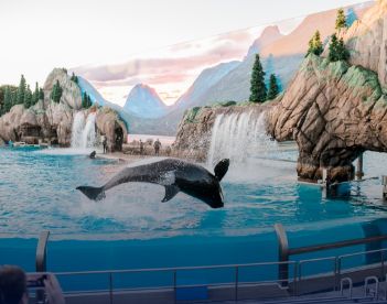 3. SeaWorld Orlando